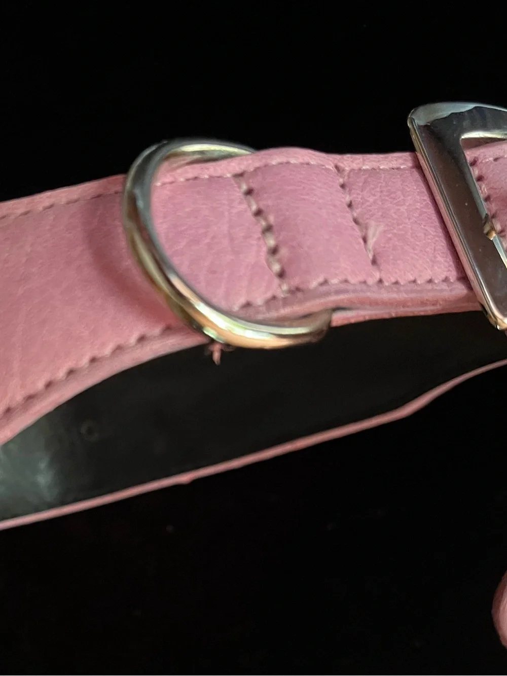 Hamptons Hound Pink Skeleton Rhinestone Embellished Dog Collar